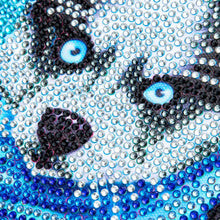 Charger l'image dans la galerie, Kit Diamond Painting 5D avec Design de Husky et Cadre Photo