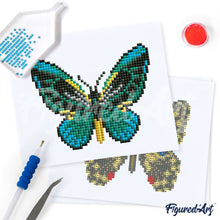 Charger l'image dans la galerie, Mini Série Diamond Painting - Papillons 2
