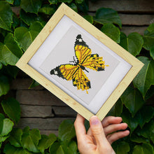 Charger l'image dans la galerie, Mini Série Diamond Painting - Papillons 3