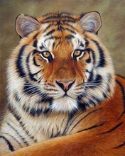 Charger l'image dans la galerie, Broderie Diamant - Diamond Painting Regard de Tigre 40x50cm toile tendue sur châssis