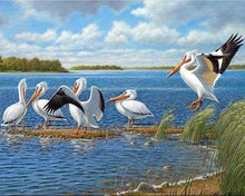Charger l'image dans la galerie, Broderie Diamant | Broderie Diamant - Pélicans | animaux Broderie Animaux | FiguredArt