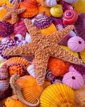 Charger l'image dans la galerie, Broderie Diamant | Broderie Diamant - Etoiles de Mer et Coquillages colorés | animaux Broderie Animaux | FiguredArt