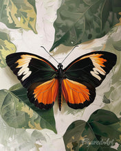 Charger l'image dans la galerie, Diamond Painting - Broderie Diamant - Papillon Moneta Longwing