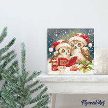 Charger l'image dans la galerie, Mini Diamond Painting 25x25cm - Chouettes Père Noël Lisant