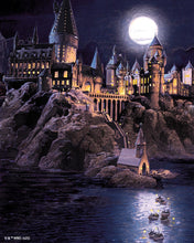 Charger l'image dans la galerie, Diamond Painting - Broderie Diamant - Harry Potter - Château de Poudlard la Nuit