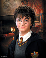 Charger l'image dans la galerie, Diamond Painting - Broderie Diamant - Portrait de Harry Potter