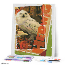 Charger l'image dans la galerie, Broderie Diamant - Harry Potter - Carte Hedwige