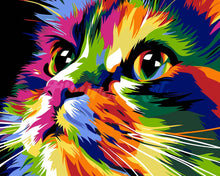 Charger l'image dans la galerie, Peinture par numéros Figured'Art Chat en Pop Art