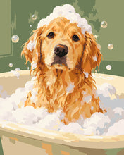 Charger l'image dans la galerie, Peinture par numéros Figured'Art Bain du Golden retriever