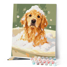 Charger l'image dans la galerie, Bain du Golden retriever