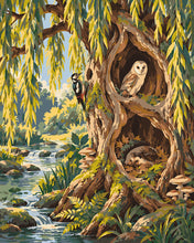 Charger l'image dans la galerie, Peinture par numéros Figured'Art Les abris du vieux saule