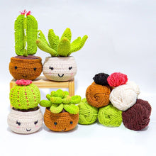 Charger l'image dans la galerie, Kit Amigurumi Crochet - Cactus en Pots Figured'Art