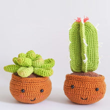 Charger l'image dans la galerie, Kit Amigurumi Crochet - Cactus en Pots