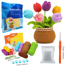 Charger l'image dans la galerie, Kit Amigurumi Crochet - Bouquet de Tulipes