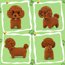 Charger l'image dans la galerie, Kit Amigurumi Crochet - Caniche Marron