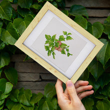 Charger l'image dans la galerie, Mini Diamond Painting 15x20cm (4 pièces) - Joyaux du Jardin : Mini Succulente