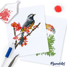 Charger l'image dans la galerie, Mini Série Diamond Painting - Oiseaux