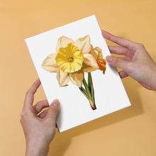 Charger l'image dans la galerie, Mini Peinture par numéros 15x20cm (6 pièces) - Voyage Floral