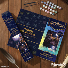 Charger l'image dans la galerie, Harry Potter - Château de Poudlard la Nuit