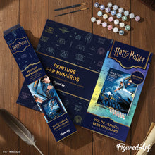 Charger l'image dans la galerie, Harry Potter - Vol de l'Anglia vers Poudlard