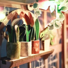 Charger l'image dans la galerie, Book Nook - Mini Serre