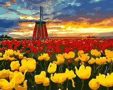 Charger l'image dans la galerie, Moulin et Tulipes Rouges et Jaunes
