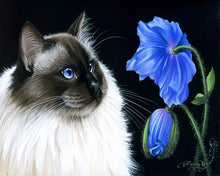 Charger l'image dans la galerie, Peinture par numéros Face à face floral | Figured'Art facile nouveautés animaux chats fleurs