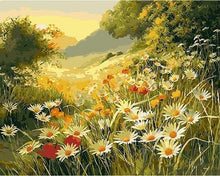 Charger l'image dans la galerie, peinture par numéros | Champ de Marguerite sous le Soleil | nouveautés paysages fleurs complexe | FiguredArt