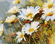 Charger l'image dans la galerie, peinture par numéros | Champ de Marguerites | facile paysages | FiguredArt