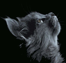 Charger l'image dans la galerie, peinture par numéros | Chat noir et gris | animaux chats complexe | FiguredArt