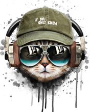 Charger l'image dans la galerie, peinture par numéros | Chat reste cool | animaux, chats, france, Intermédiaire | FiguredArt