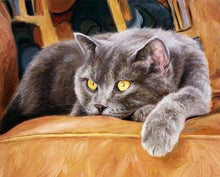 Charger l'image dans la galerie, peinture par numéros | Chat sur canapé | animaux chats intermédiaire | FiguredArt