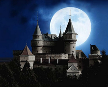 Charger l'image dans la galerie, peinture par numéros | Chateau et Pleine Lune | châteaux, Complexe | FiguredArt