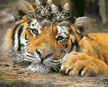 Charger l'image dans la galerie, peinture par numéros | Chatons et Tigre | animaux chats facile tigres | FiguredArt