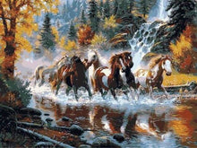 Charger l'image dans la galerie, peinture par numéros | Chevaux au Galop | animaux chevaux complexe | FiguredArt