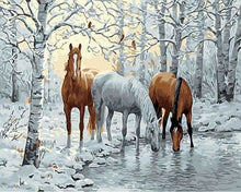 Charger l'image dans la galerie, peinture par numéros | Chevaux se désaltérant | animaux chevaux intermédiaire paysages | FiguredArt