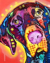 Charger l'image dans la galerie, peinture par numéros | Chien et étoiles | animaux chiens complexe Pop Art | FiguredArt