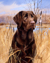 Charger l'image dans la galerie, Peinture par numéros Chien Labrador | Figured'Art facile animaux chiens nouveautés