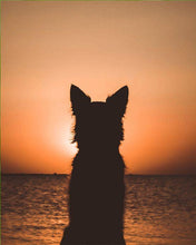 Charger l'image dans la galerie, peinture par numéros | Chien regardant l’horizon | animaux, chiens, Intermédiaire | FiguredArt