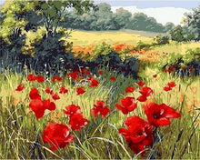 Charger l'image dans la galerie, peinture par numéros | Coquelicots champêtres | nouveautés paysages fleurs intermédiaire | FiguredArt