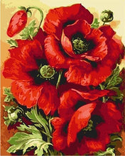 Charger l'image dans la galerie, peinture par numéros | Coquelicots | fleurs intermédiaire | FiguredArt