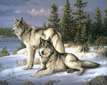 Charger l'image dans la galerie, Peinture par numéros Couple de Loups | Figured'Art intermédiaire animaux loups nouveautés