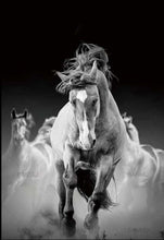 Charger l'image dans la galerie, peinture par numéros | Course de vitesse | animaux chevaux complexe | FiguredArt