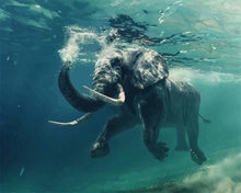 Charger l'image dans la galerie, peinture par numéros | Eléphant nageant dans lEau | animaux complexe éléphants | FiguredArt