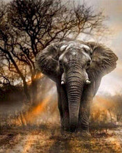 Charger l'image dans la galerie, peinture par numéros | Eléphant solitaire | nouveautés animaux éléphants complexe | FiguredArt