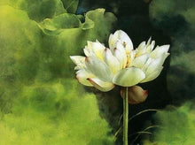 Charger l'image dans la galerie, peinture par numéros | Fleur de Lotus | complexe fleurs | FiguredArt
