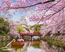 Charger l'image dans la galerie, peinture par numéros | Fleurs de cerisiers au Japon | Complexe, fleurs, paysages | FiguredArt