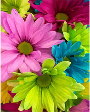 Charger l'image dans la galerie, peinture par numéros | Fleurs pleines de couleurs | Facile, fleurs | FiguredArt