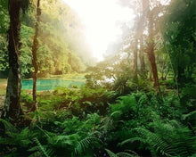Charger l'image dans la galerie, peinture par numéros | Forêt tropicale | Complexe, forêt, paysages | FiguredArt