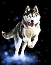 Charger l'image dans la galerie, peinture par numéros | Husky | animaux chiens intermédiaire | FiguredArt
